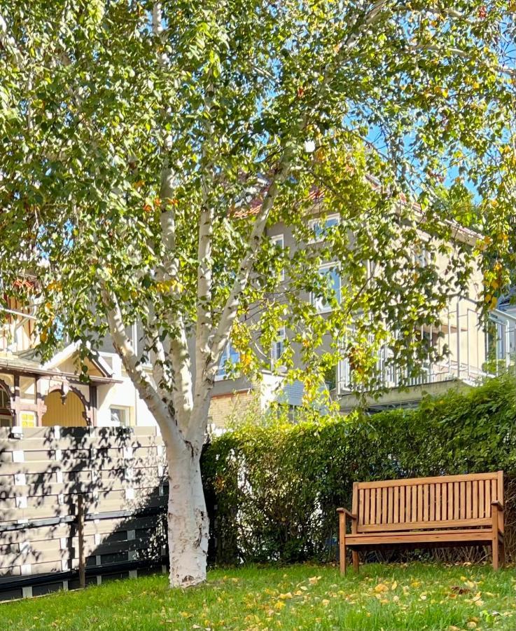 Apartment Gemuetliche Residenz Mit Holzofen-sauna Von Harztraveler